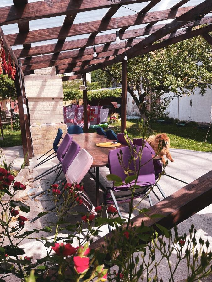 Yard Studio Rasnov 아파트 외부 사진
