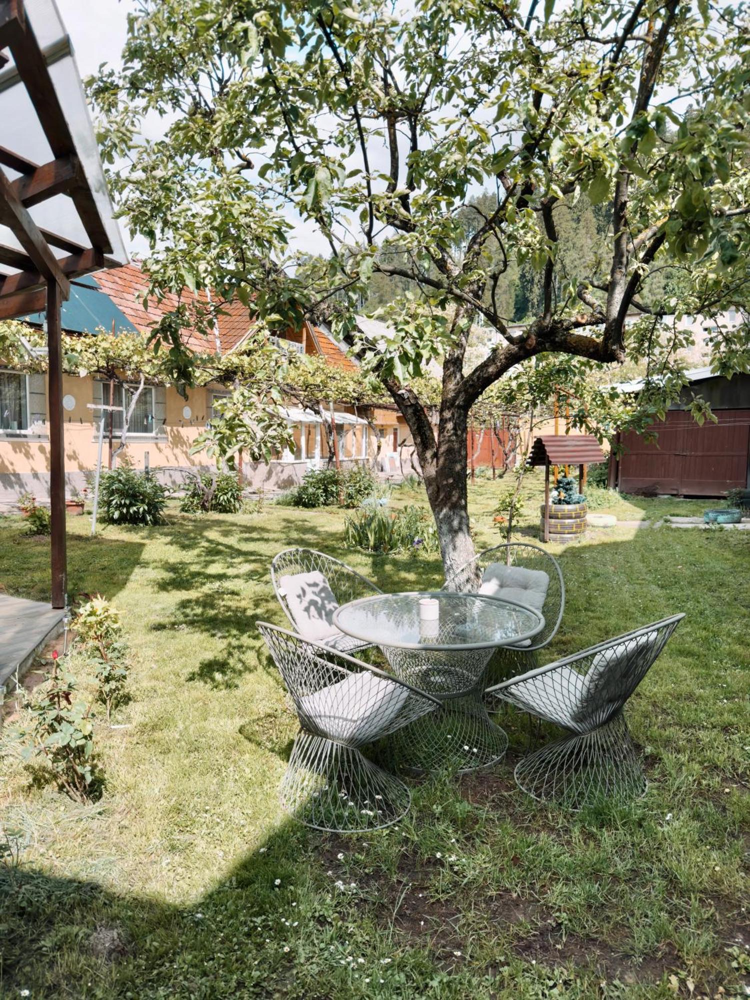 Yard Studio Rasnov 아파트 외부 사진